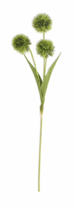 26" Green Ball Flower Stem